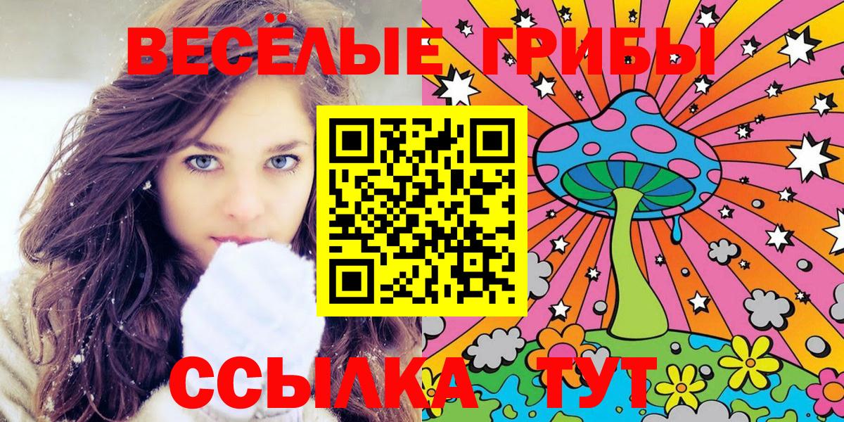 Галлюциногенные грибы Psilocybe Валуйки